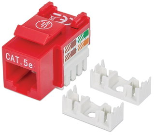 Fruit Keystone RJ 45 Cat 5 AND UTP IDC 90 ° Red - Intellinet IWP-MD C 5 E/RED