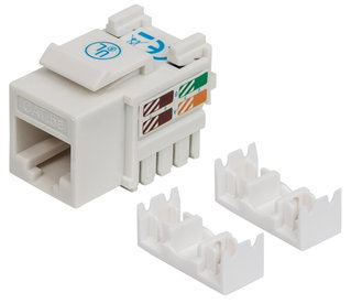 Fruit Keystone RJ 45 Cat 5 AND UTP IDC 90 ° White - Intellinet IWP-MD C 5 E/WH