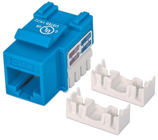 Fruit Keystone RJ 45 Cat 6 UTP unshielded Blue - Intellinet IWP-MD C 6 /BL