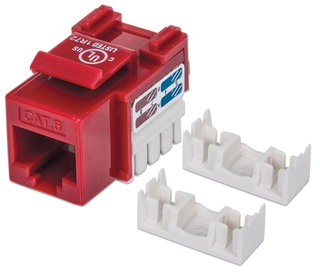 Fruit Keystone RJ 45 Cat 6 UTP Red - Intellinet IWP-MD C 6 /RED