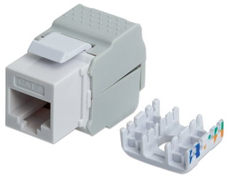 Fruit Keystone RJ 45 UTP Cat 6 white - Intellinet IWP-MD C 6 /TLU