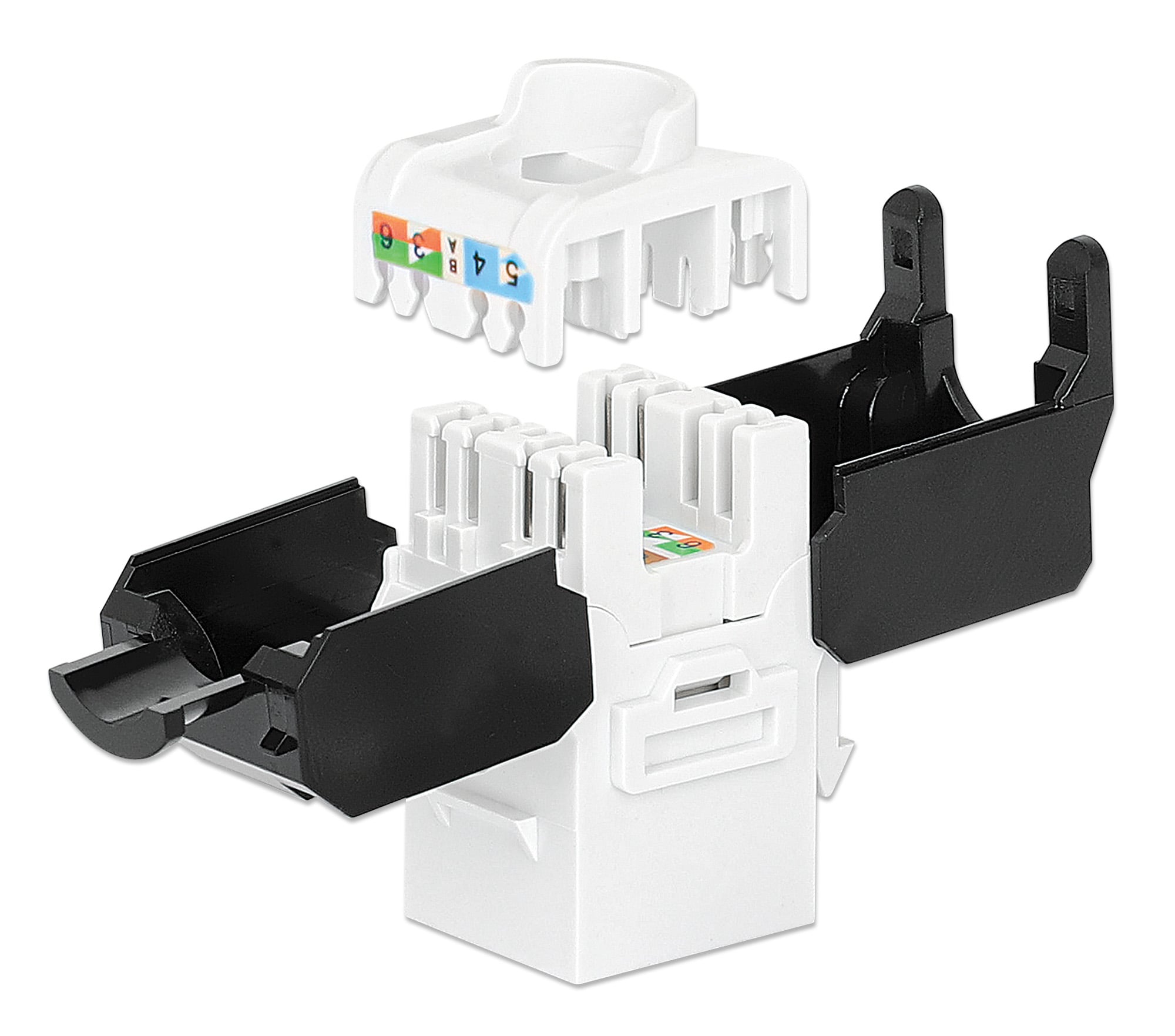 Frutto Keystone RJ45 Cat6 UTP Tool-Free Bianco Nero - Intellinet IWP-MD C6/TLU3MU