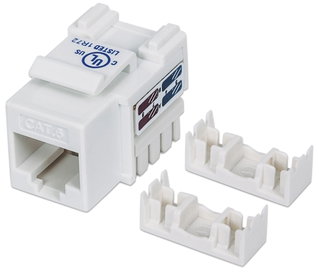 Fruit Keystone RJ 45 Cat 6 UTP unshielded White - Intellinet IWP-MD C 6 /WH