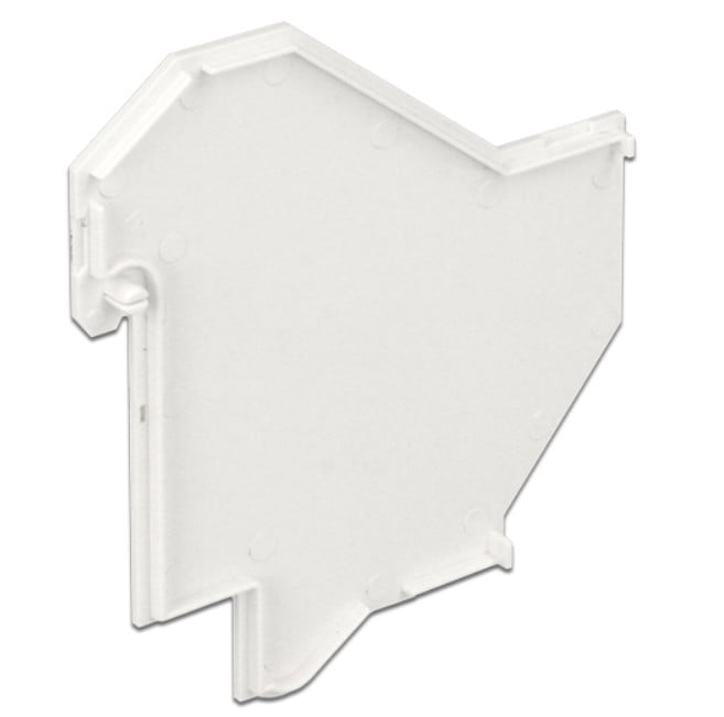 DIN RJ 45 Keystone Adapter Cap - Delock IWP-MD KEY-TP