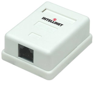 Wall grab with Fruit RJ 45 Cat 5 AND UTP Beige - Intellinet IWP-MD SC- 1 FT
