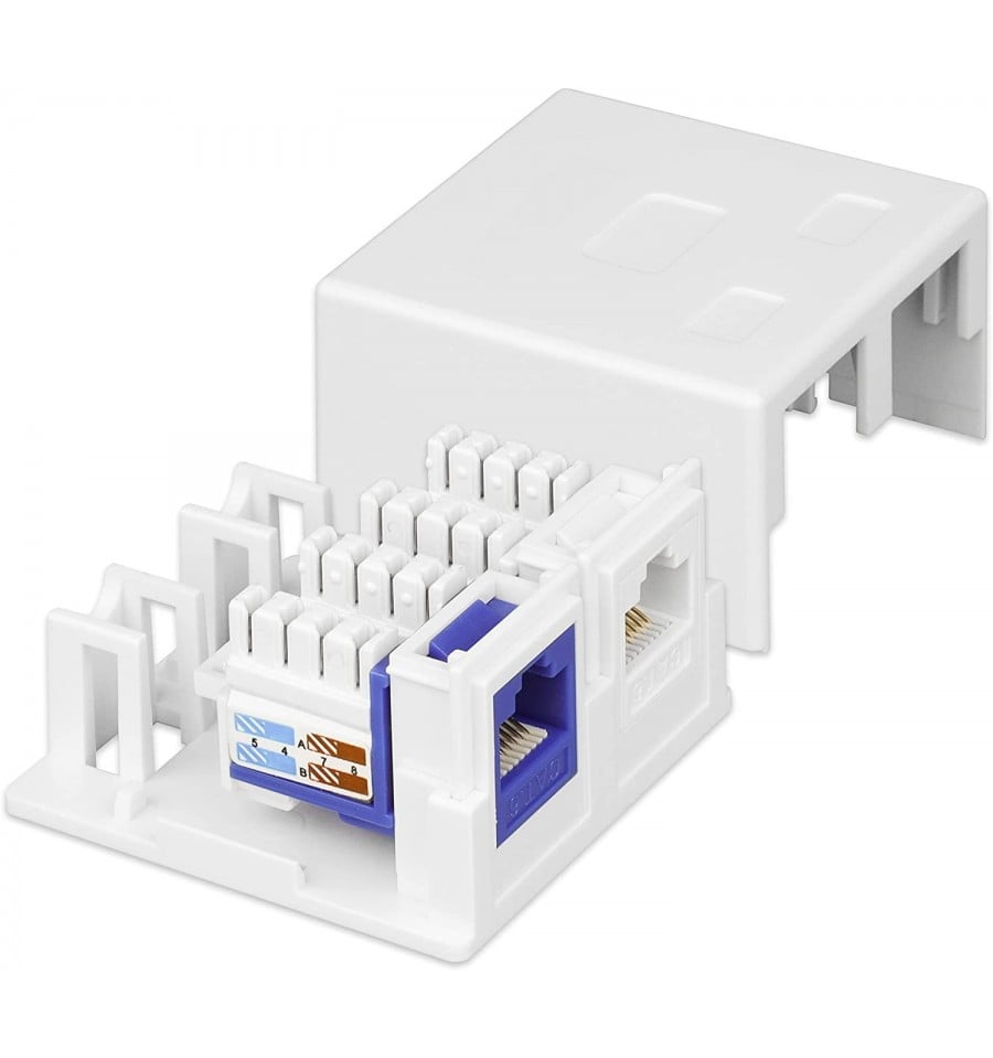 Presa a Muro per 2 Frutti Keystone Bianco - Intellinet IWP-MD SC-2