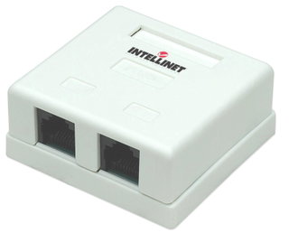 Wall grip with 2 Fruits RJ 45 Cat 5 AND UTP Beige - Intellinet IWP-MD SC- 2 FT