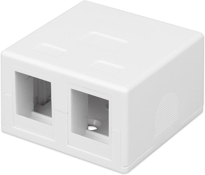 2 fruit wall socket Keystone White - Techly Professional IWP-MD SC- 2 T