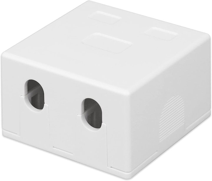 2 fruit wall socket Keystone White - Techly Professional IWP-MD SC- 2 T