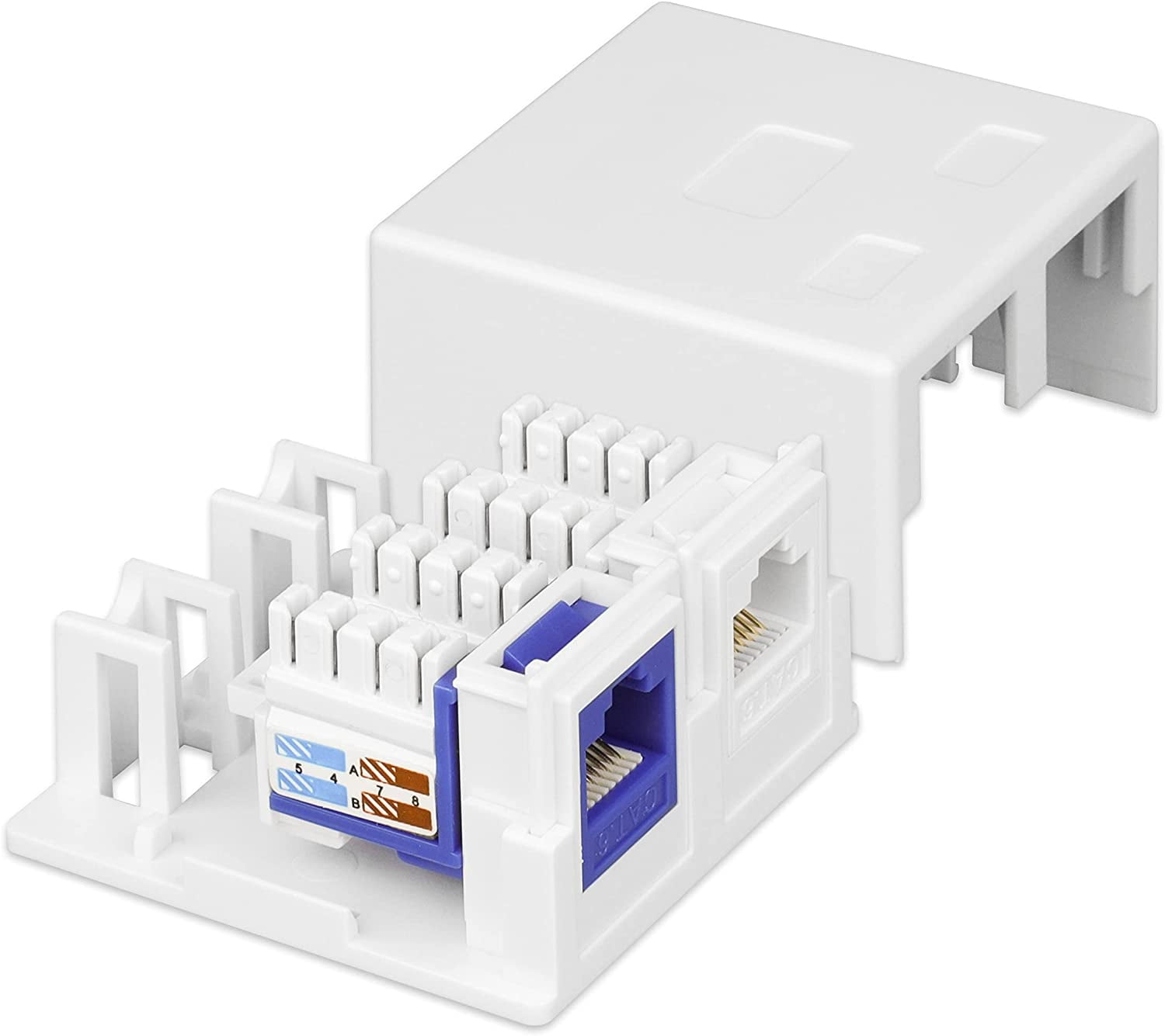 2 fruit wall socket Keystone White - Techly Professional IWP-MD SC- 2 T