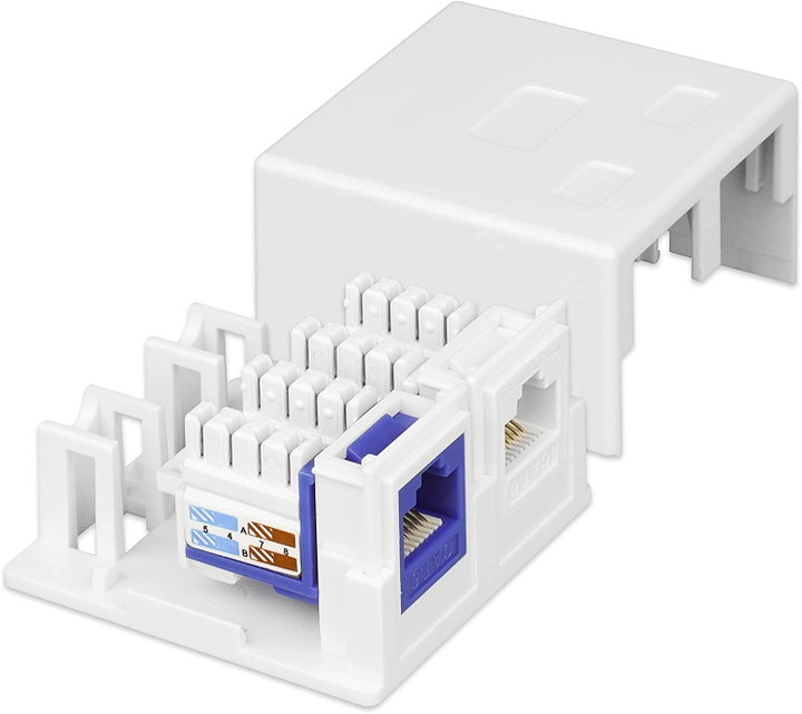 2 fruit wall socket Keystone White - Techly Professional IWP-MD SC- 2 T